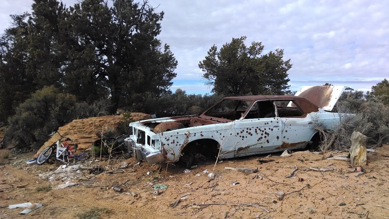 Monitor inventory levels